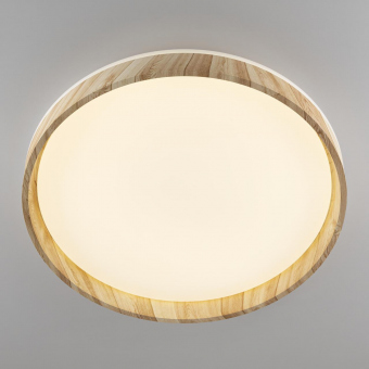 Citilux ENZO Клен LED Светильник с пультом CL753452G