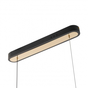 Citilux FANNY Светильник Подвес CL213121