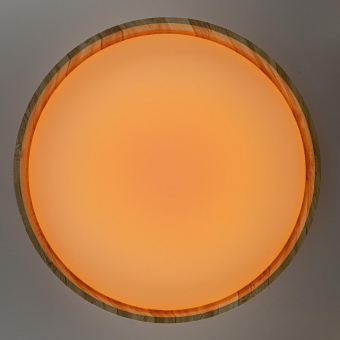 Citilux ENZO Клен LED Светильник с пультом CL753452G
